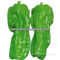 Chinese High Quality Green Bell Pepper Seeds For Cultivation-First 406